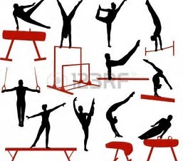 Bericht Gymnastiekvereniging SVH - Heerjansdam bekijken